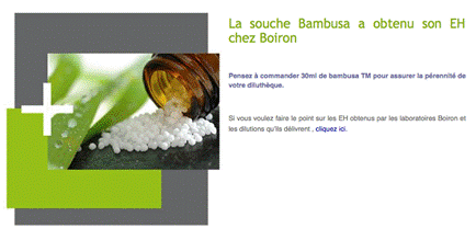 2015EH Bambusa
