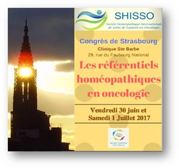 SHISSO2017